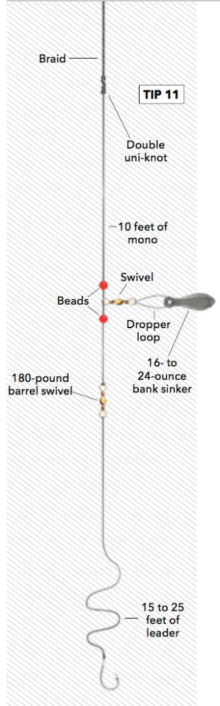 Bottomfishing rig with braided fishing line diagram