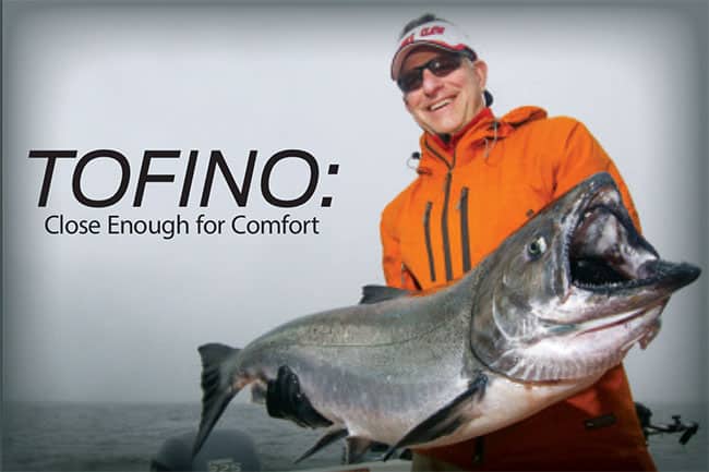 tonfino salmon