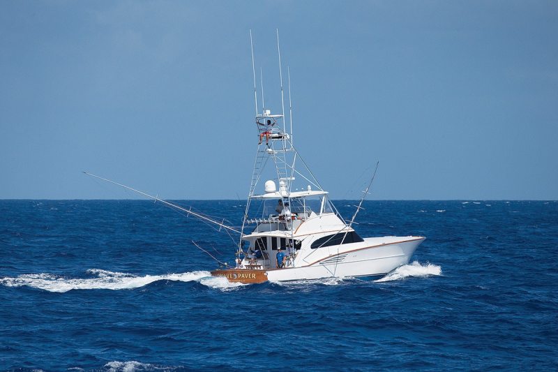sportfisher trolling