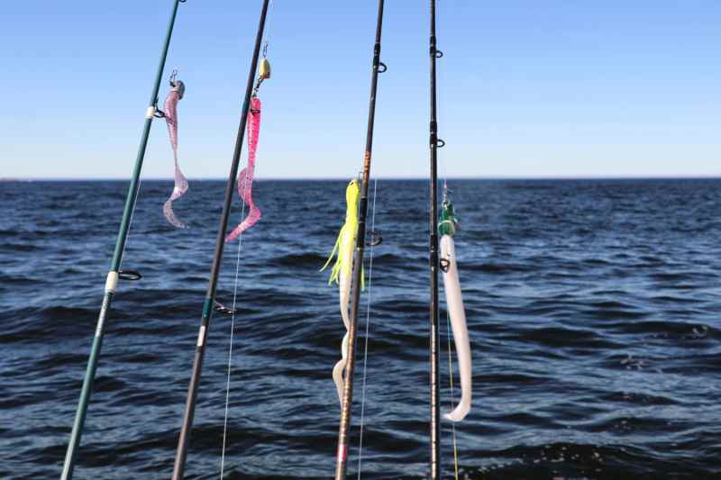 A selection of lead-head jigs and Z-man plastic tails