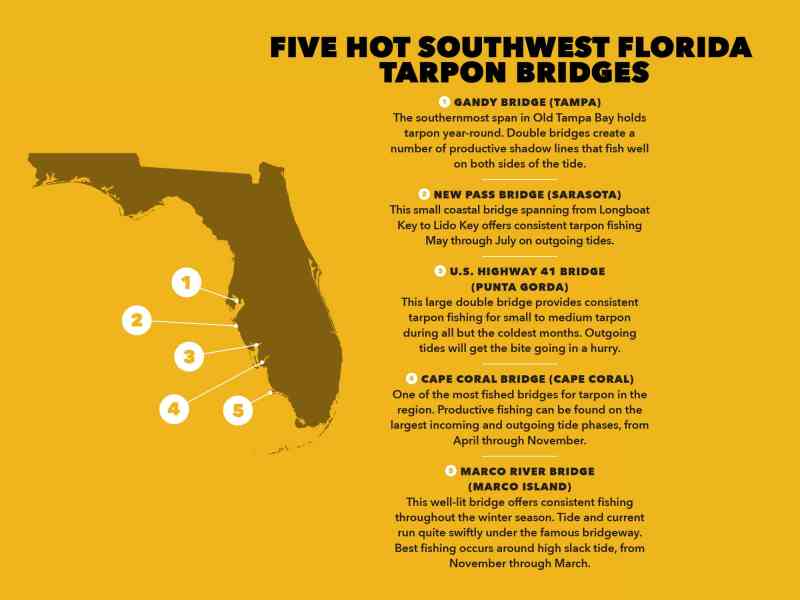 tarpon fishing spots