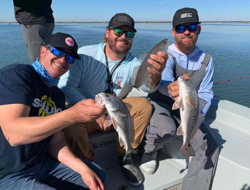 Three redfish
