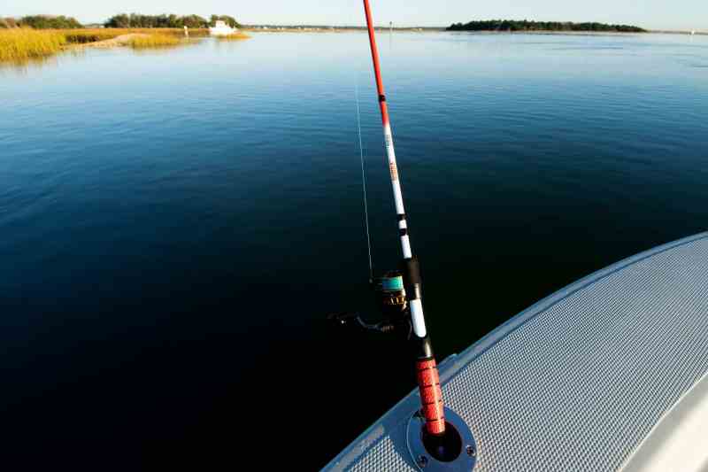 Bubba Tidal fishing rod