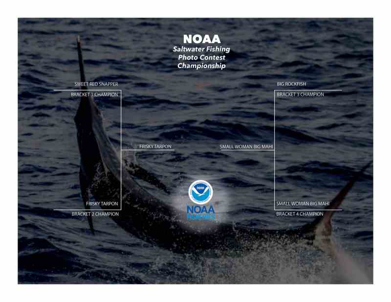 NOAA Contest Bracket Championship