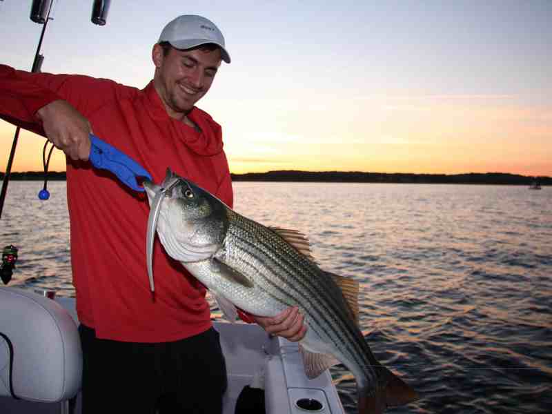 3-TM-IMG_5898 Schoolie bass brought on board