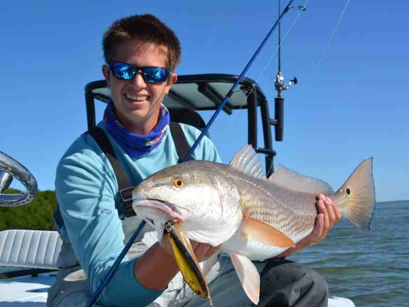 Redfish caught in Key Largo