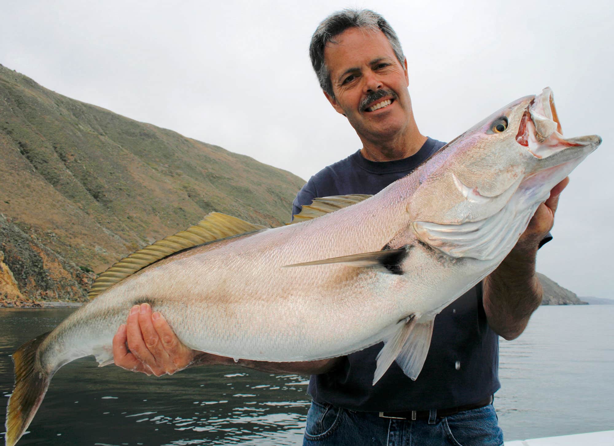 Genetics Study Sheds New Light on California’s White Seabass Hatchery 