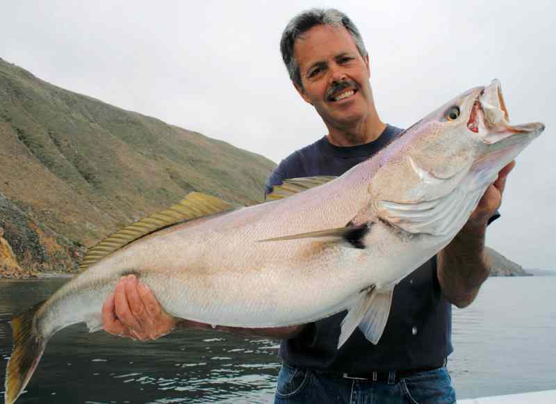 SPF0422-MG-5940 Southern California white seabass