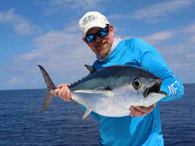 blackfin tuna