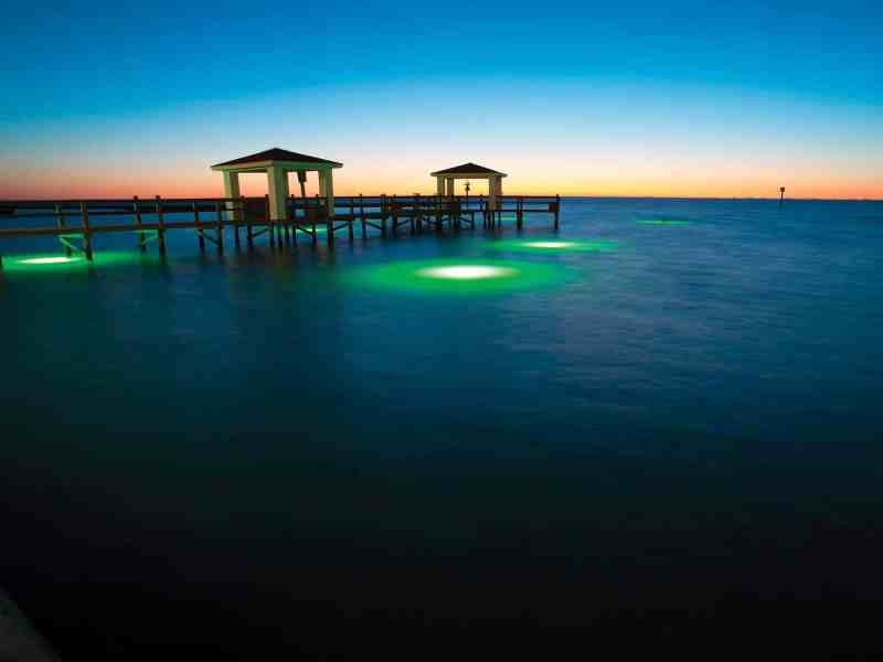 SPF0622-Inshore-Dock-Lights-C8213P Dock lights at night