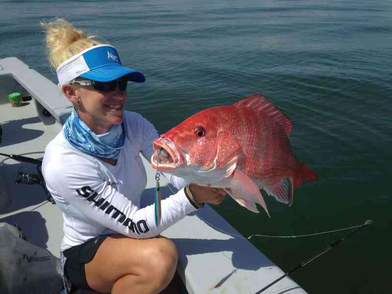 SPF0822-Red-Snapper Large red snapper