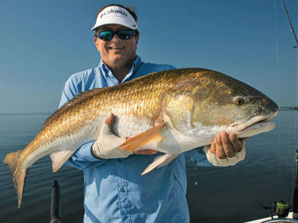 Bull redfish