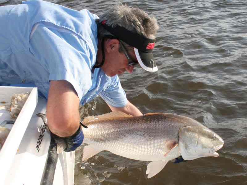 SPF0922-Louisiana-Redfish Angler releasing redfish