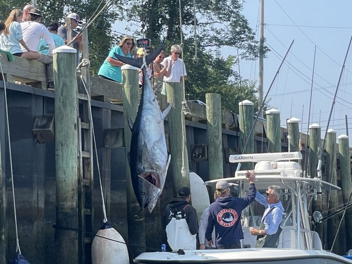 SPF0922-MA-Bluefin-1 Giant bluefin tuna hoisted at the dock