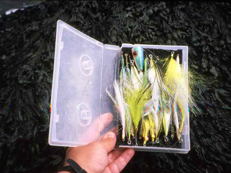 Spf0922-Fall-fly-box Top flies for fall fishing