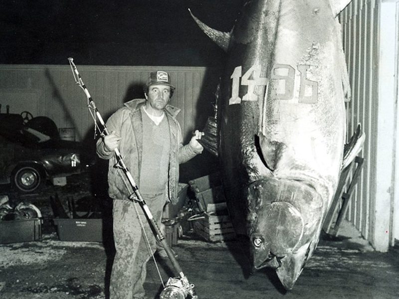 IGFA-Bluefin-crop Giant bluefin tuna