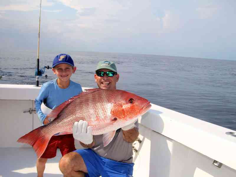 SPF1222-Red-snapper Red snapper on the boat