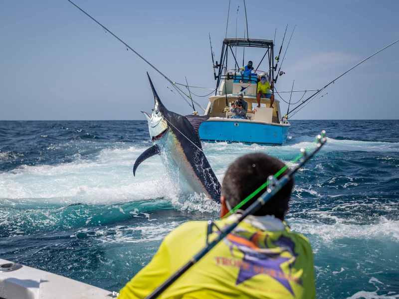 tropic-star-2 Marlin caught at Tropic Star