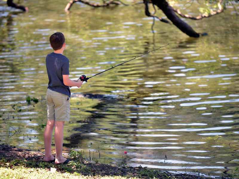 pond-fishing An isolated pond, swamp, or marsh is more than a fishing spot. These areas excel at capturing phosphorus and nitrogen, preventing the pollutants from spreading into larger river and lake systems.