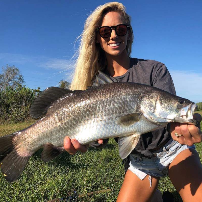 Barramundi in Florida