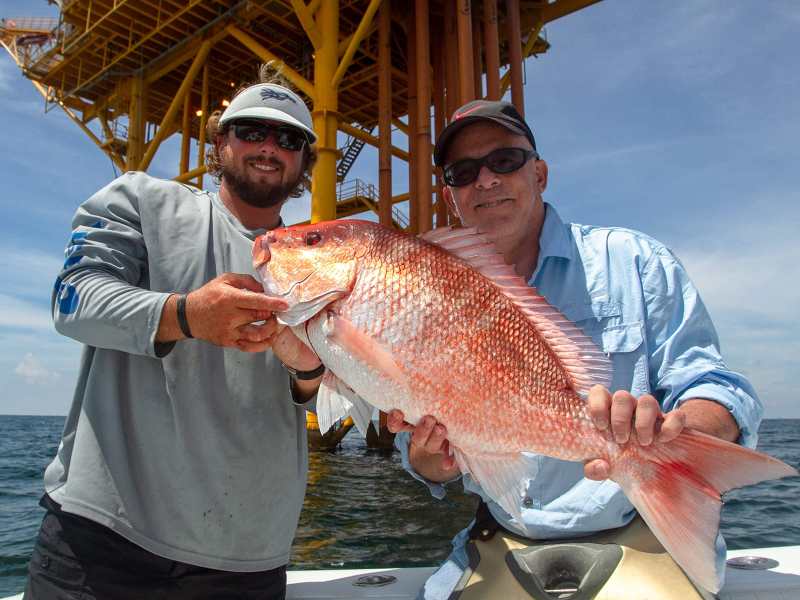red-snapper-reefs Gulf of Mexico red snapper