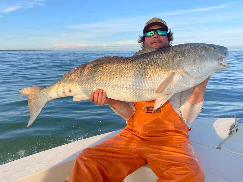 Redfish caught in Virginia.