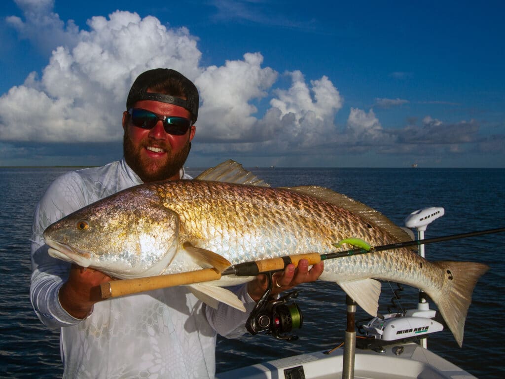 Bull redfish caught nearshore in Venice