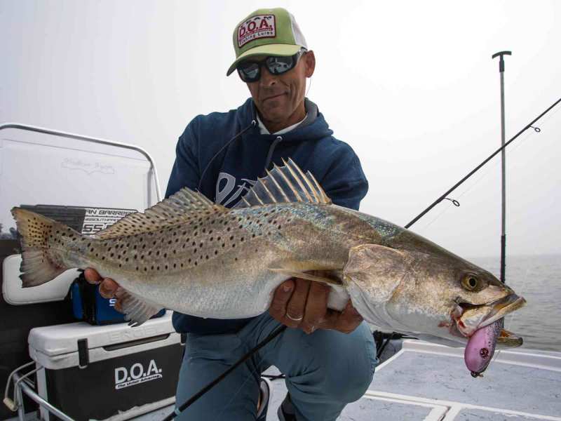 texas-seatrout-release Texas seatrout fishing