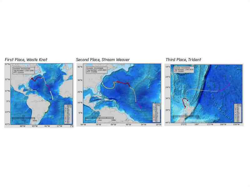 Tracking marlin movements