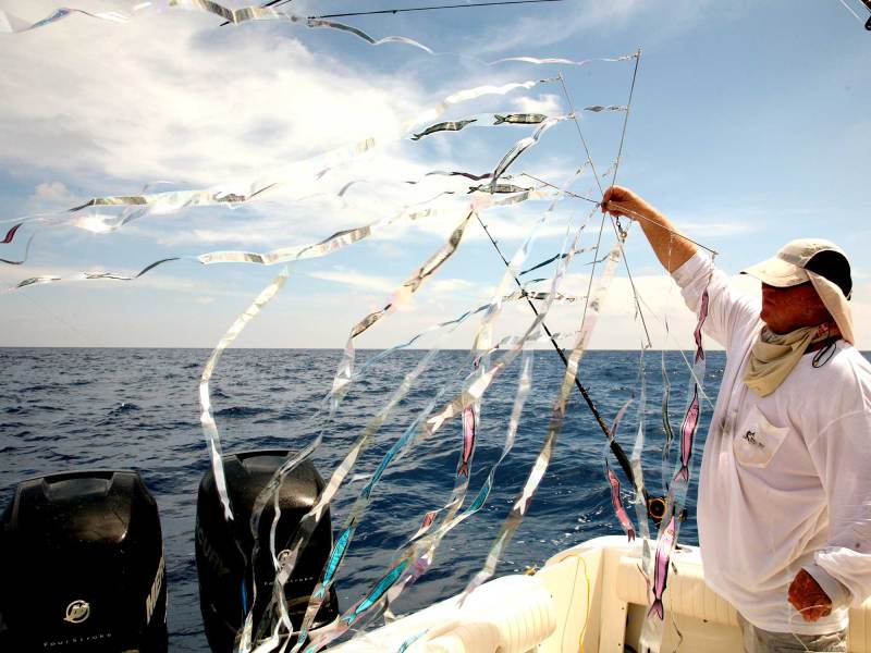 FBBG1223-Offshore-Sailfish-IMG4928 Fishing for sailfish