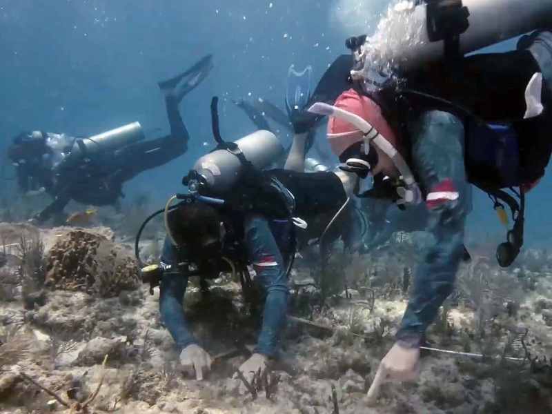FSH224-Key-Largo Key Largo reef conservation