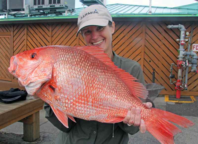 red-snapper-from-fwc Florida red snapper