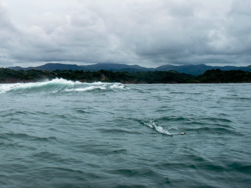 Fishing topwaters in Costa Rica