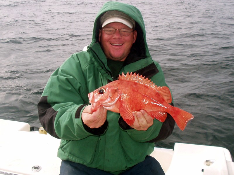 acadian-redfish acadian redfish