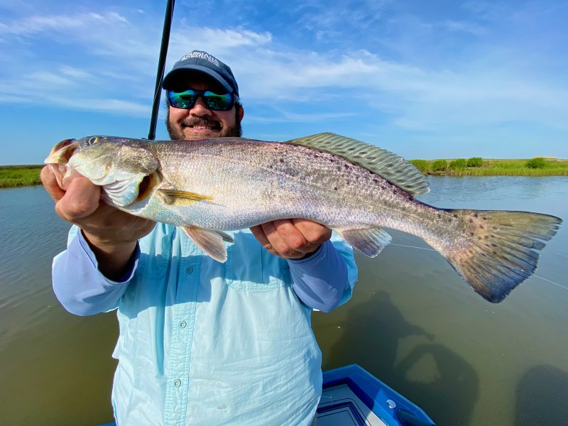 louisiana-springtime-trout Louisiana speckled trout