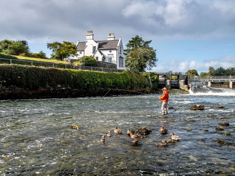 Galway-Weir Salmon fishing at the Galway Weir