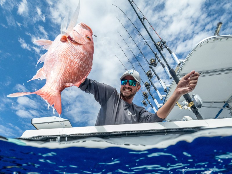 red-snapper-catch red snapper fishing