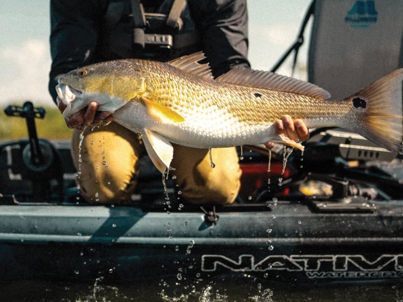 SPF624-Skinny99-Yaks-1 Redfish caught on a kayak