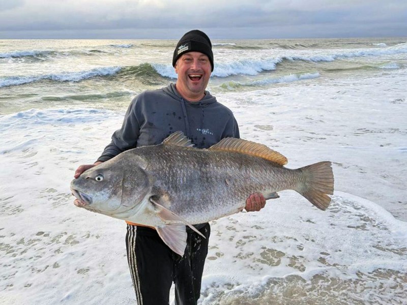 new-jersey-black-drum Black drum New Jersey
