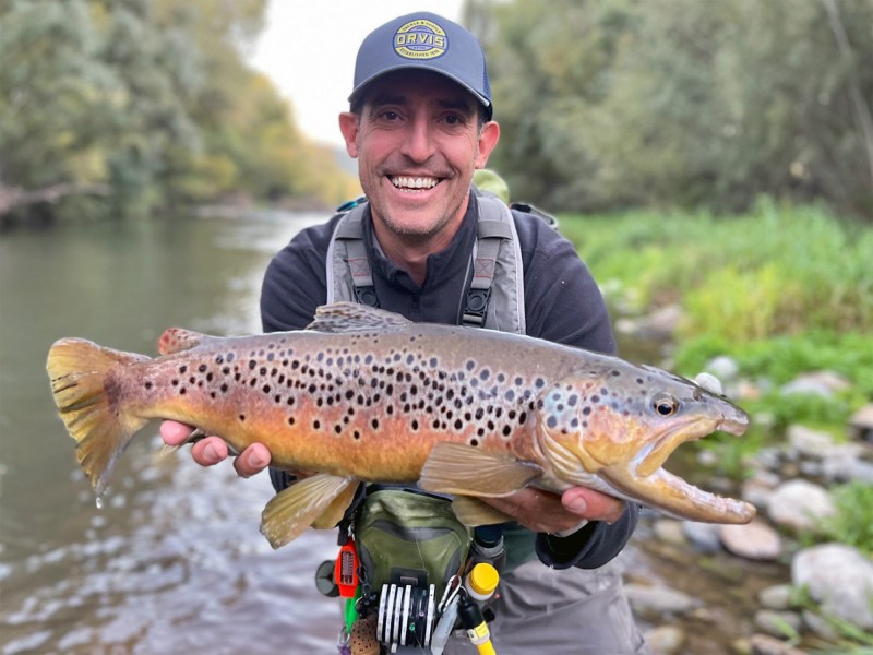 Mediterranean-trout Catch and release Mediterranean trout