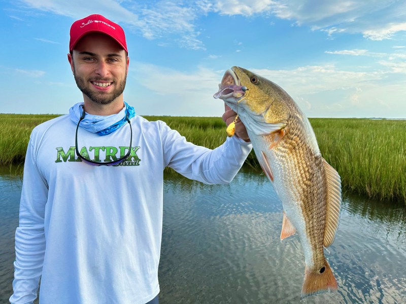 redfish-spinnerbait redfish caught on spinnerbait