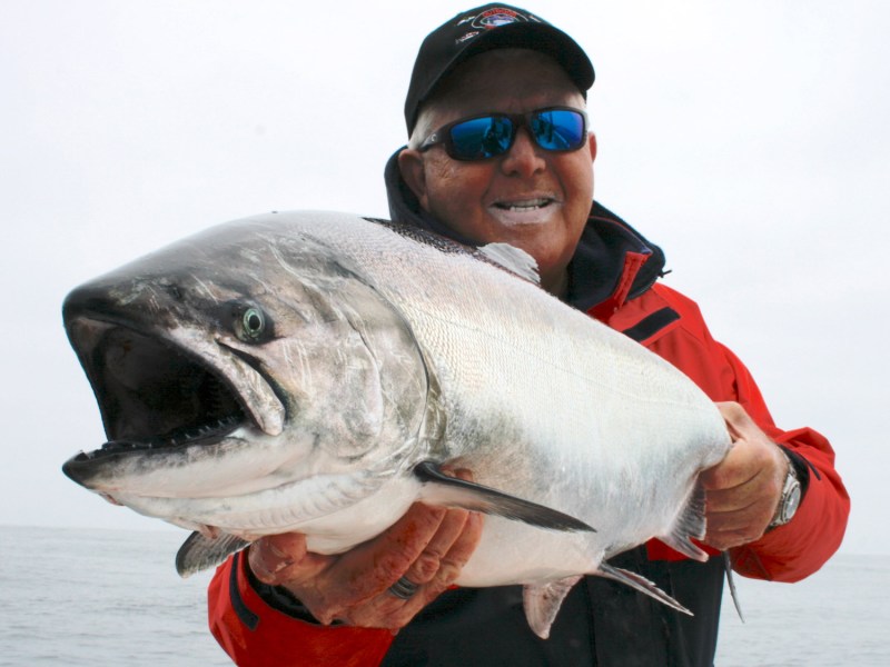 Chinook-Salmon California chinook salmon