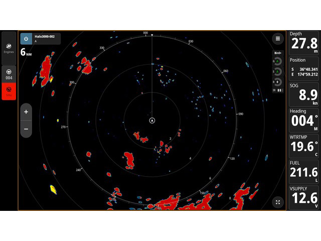 screenshot of birds