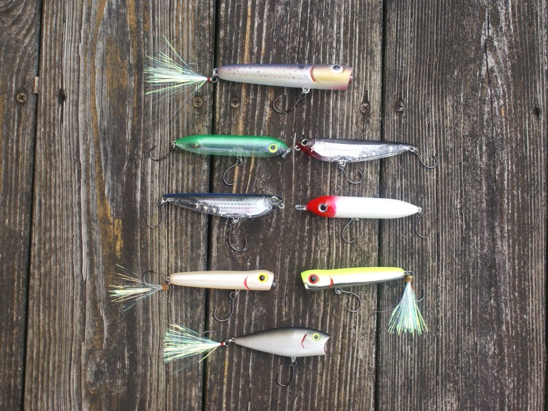 Selection of fishing lures for Maryland inshore fishing.