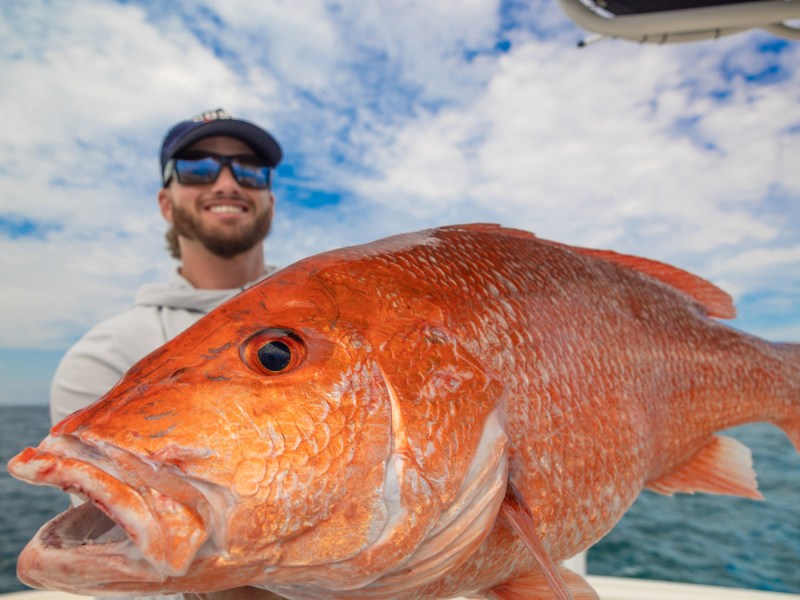 127A2224 South Atlantic red snapper caught by angler