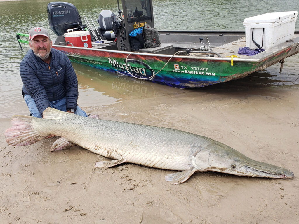 Texas alligator gar