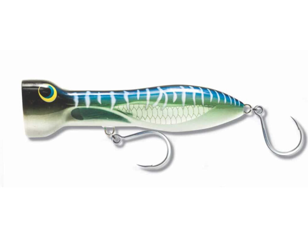 Nomad Design Chug Norris topwater popper striper lure.