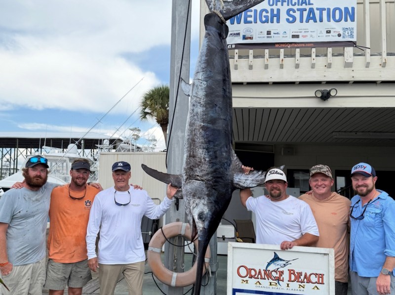 Record_Swordfish_Marina Alabama state record swordfish