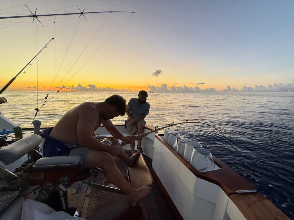 Alabama record swordfish.