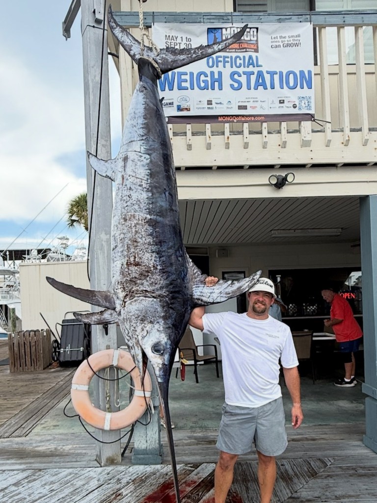 Alabama state record swordfish